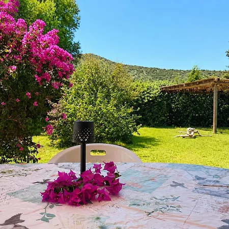 Vermentino - - 200m From The - Garden - Wi-fi - Ac - Bbq - Parking - Pet Friendly *