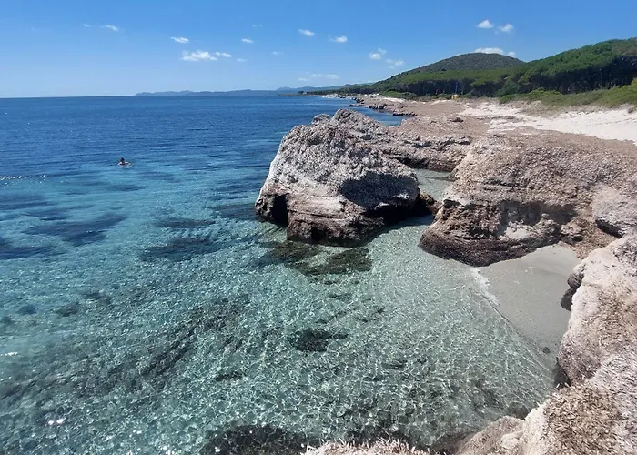 Vakantiehuis Vermentino - In - 200m From The - Garden - Wi-fi - Ac - Bbq - Parking - Pet Friendly *